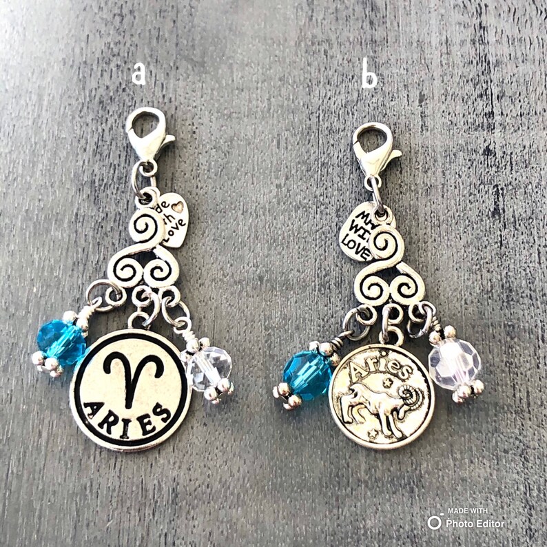 zodiac signs planner charm TN charm keychain charm.
