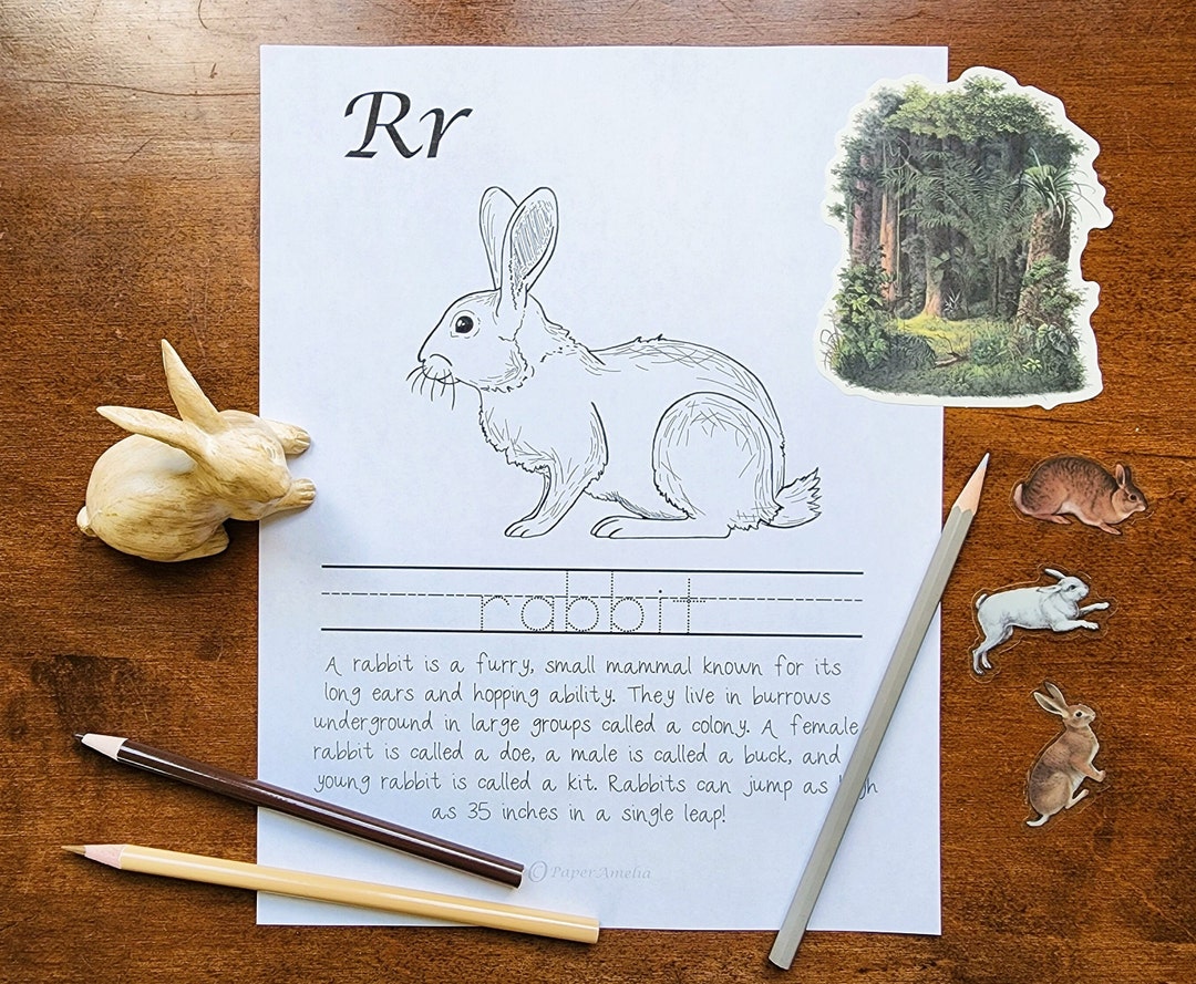 Animal Alphabet R Rabbot Coloring Pages R is for Rabbit Nature Alphabet Page-digital Download-nature Inspired ...