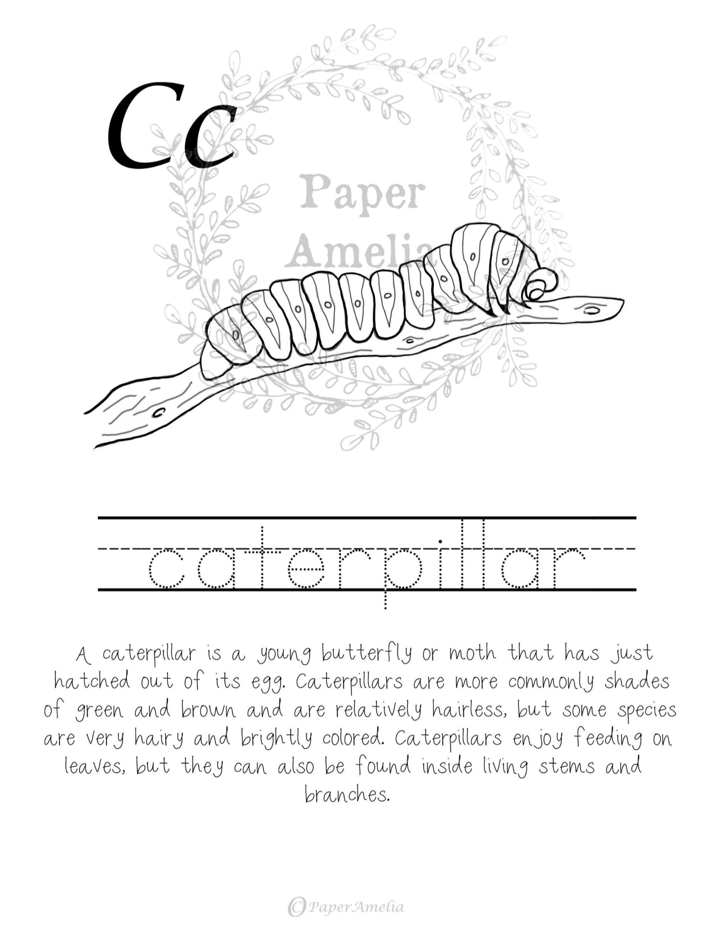 C Is For Caterpillar Coloring Page