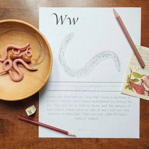 May include: A wooden bowl holds several pink worm figurines and a few brown objects. A pencil and a small card with a botanical illustration are next to a page with the letter "W" and a drawing of a worm. The text on the page describes worms.