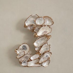 May include: A decorative letter "J" made from oyster shells with gold-colored edges. The shells are white and iridescent, arranged to form the letter against a neutral background. The design is suitable for coastal or nautical decor.