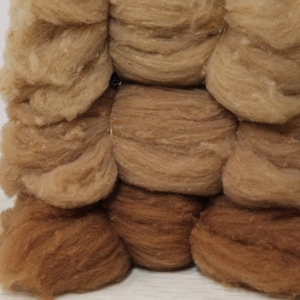May include: A stack of brown and beige wool roving, a type of fiber used for spinning yarn.