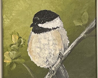 Black- Capped Chickadee Painting Small  5"x 5" Acrylic Bird Artwork, Gift For Bird Lover, Song Bird Original Painting On Canvas