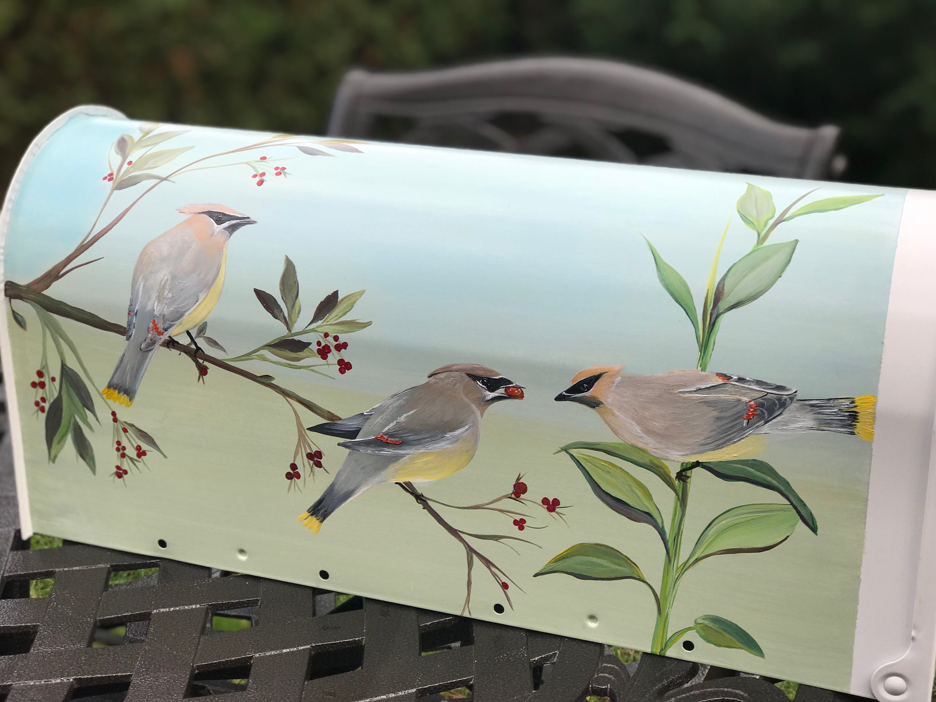 Hand Painted Mailboxes, Bird Themed Mailbox Art, Cedar Waxwing Painting ...