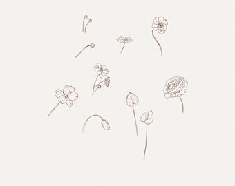 Conjunto de dibujos florales hechos a mano: dibujos de flores botánicas, conjunto de arte lineal floral dibujado a mano, bocetos florales minimalistas, paquete de dibujos botánicos delicados