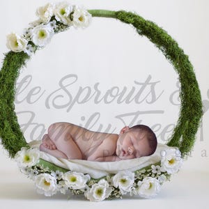 Newborn digital background backdrop white flowers