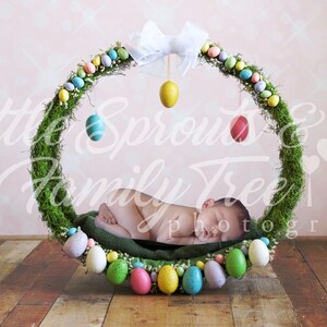 TWO newborn digital backdrop background Easter wreath