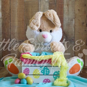 TWO newborn digital backdrop background Easter Bunny