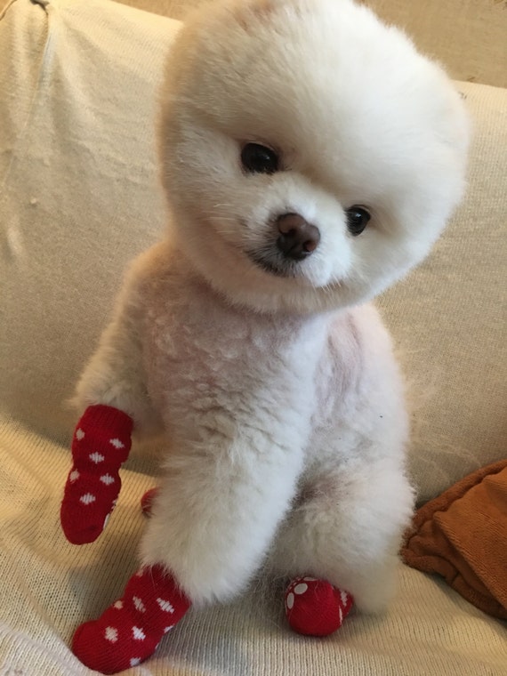 puppy booties