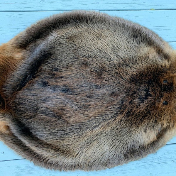 Beaver Pelt Etsy