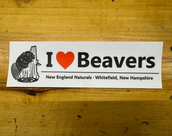 Beaver Bumper Sticker (I <3 Beavers)