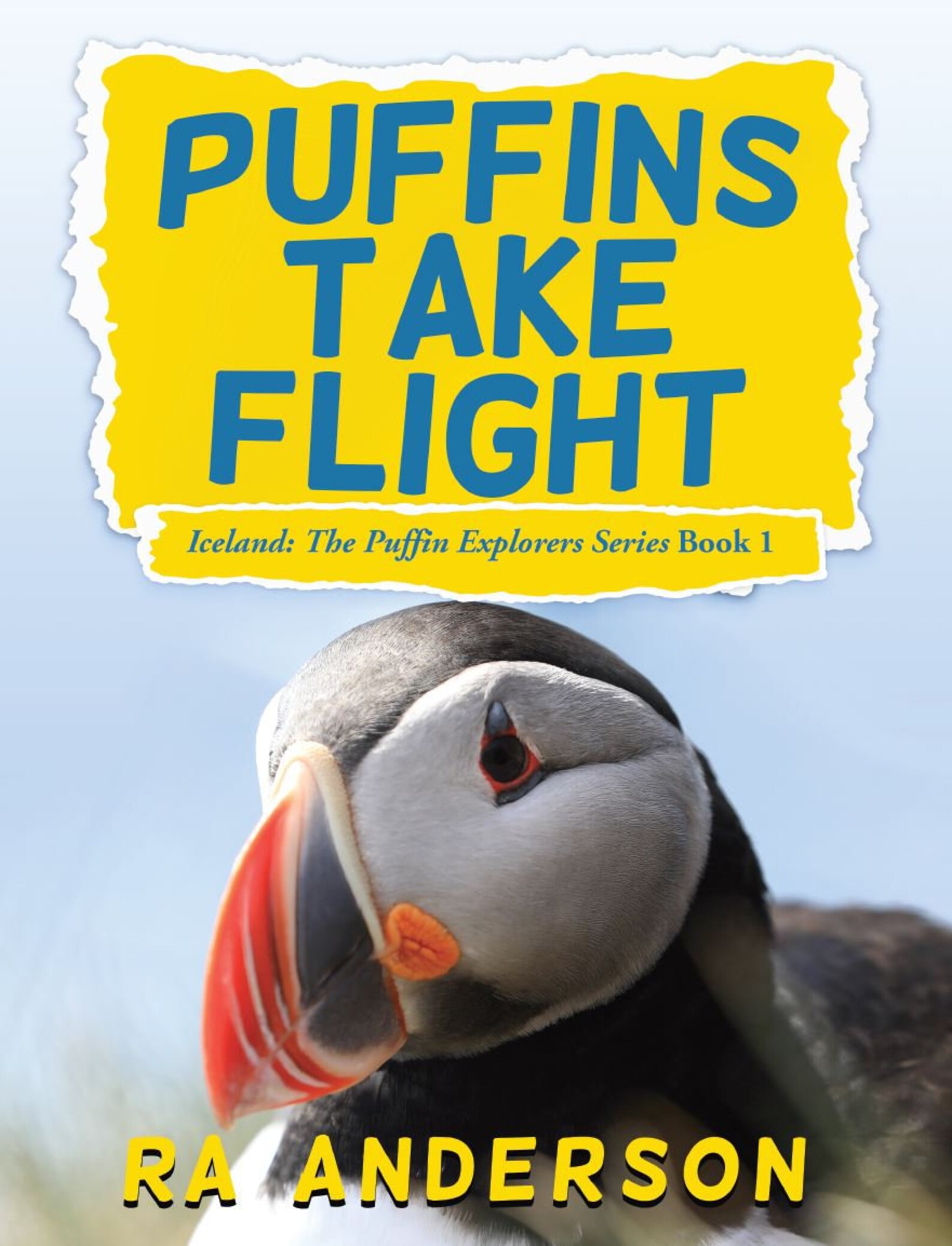 flight of the puffin flight of the puffin