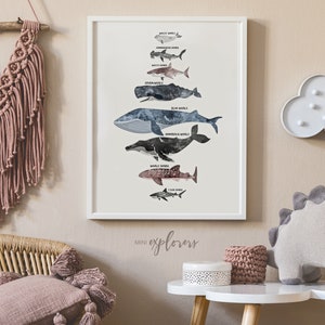 Whale and shark art print, Nautical nursery decor, Educational print, Shark poster, Watercolor whales, Kids room decor, Ocean themed decor