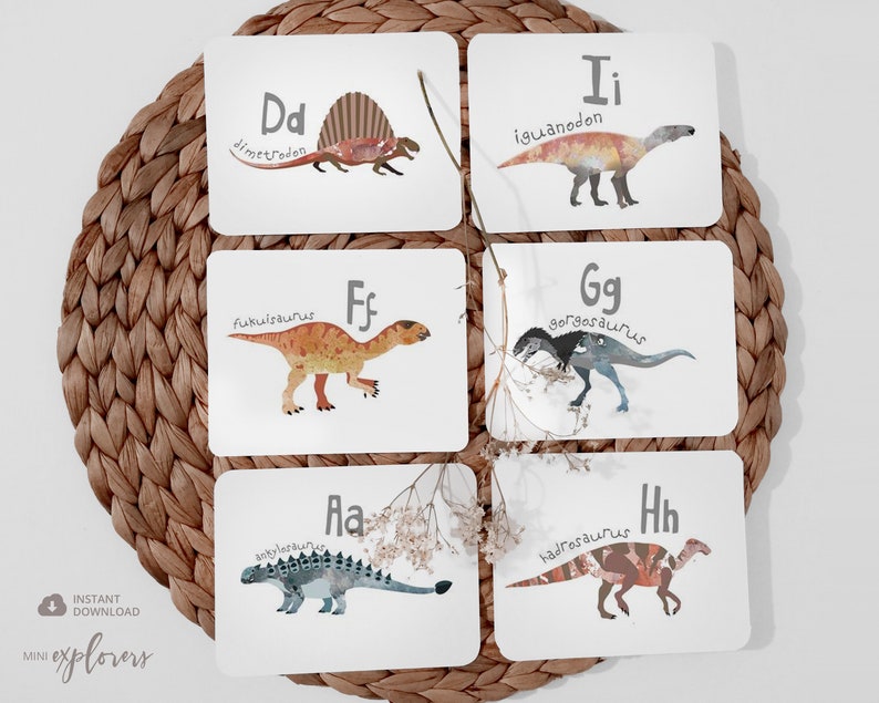 May include: Set of six alphabet flash cards featuring dinosaurs. Each card has a letter, dinosaur name, and illustration of a dinosaur. The letters are D, F, G, H, I, and A.