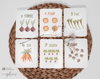 Number flash cards, Numbers 1-10, Couting card set, Printable vegetable cards, Learning numbers, Nursery wall cards, Homeschooling