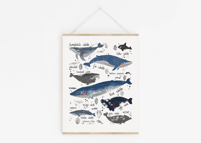 Kid Whale Art Nautical Nursery Printable Blue Kids Room Print Fish Wall Art Shark Poster Whale Illustration Baby Boy Room Decor