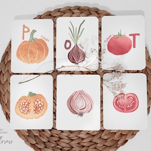 50 cartões de alfabeto vegetal + impressão de alfabeto, jogo de correspondência para impressão para crianças, flashcards de alfabeto, sala de jogos ABC para imprimir, decoração de sala de aula
