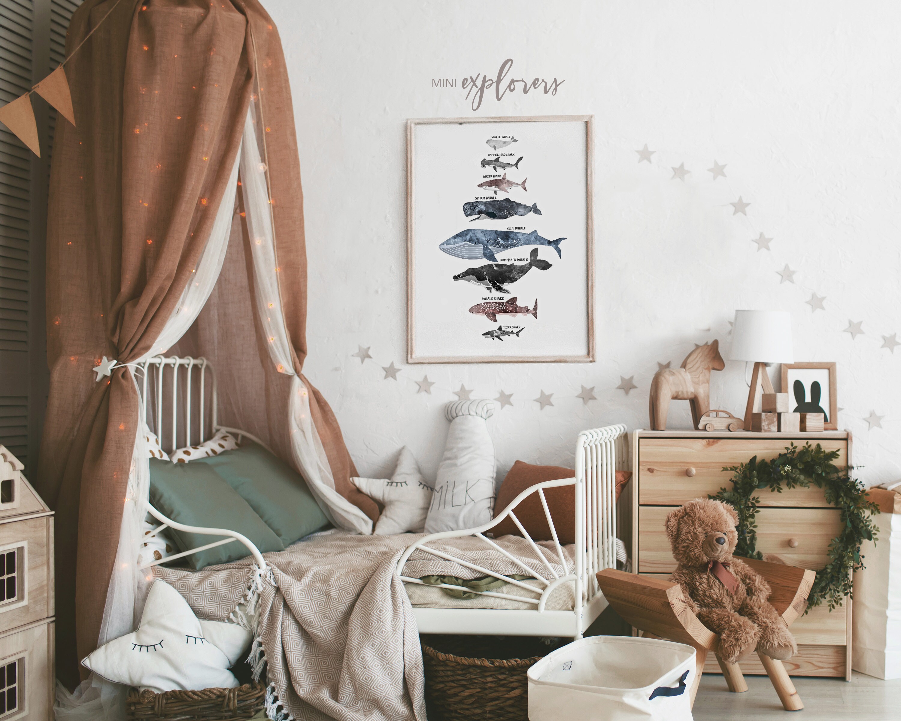 Whale and Shark Art Print, Nautical Nursery Decor, Educational Print ...