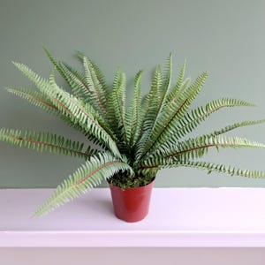 Può includere: Una pianta di felce artificiale in vaso con foglie verdi in un vaso rosso. La pianta è su uno scaffale bianco contro un muro verde.