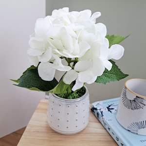 Può includere: Un'arrangiamento di ortensie bianche in un piccolo vaso di ceramica grigia strutturata con un motivo a pois. Foglie verdi e muschio circondano i fiori. L'arrangiamento è posto su una superficie di legno chiaro.