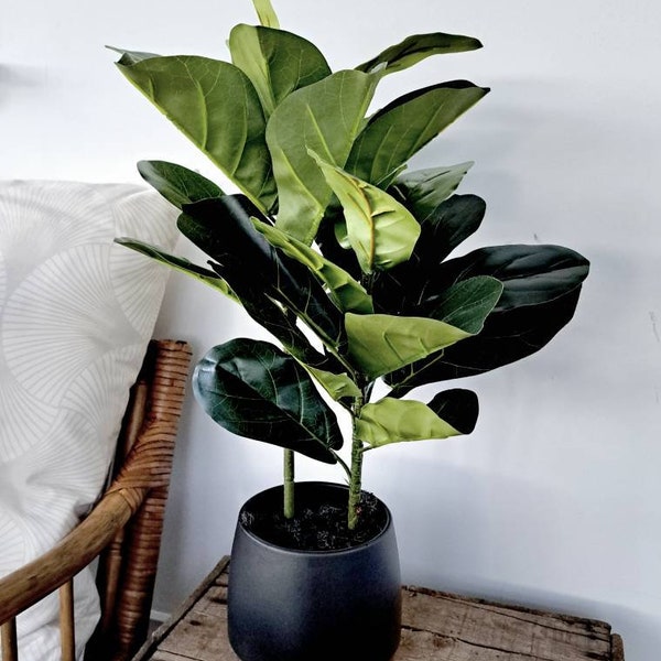 Artificial Bathroom Plants Etsy UK