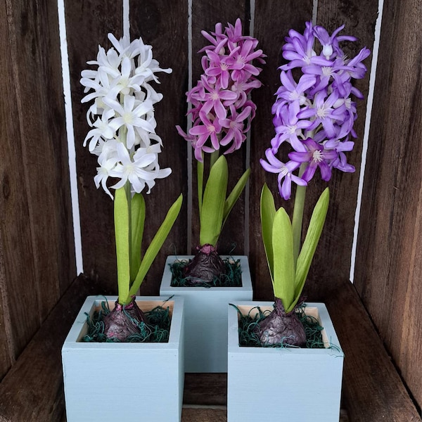 Faux hyancinth flowering bulbs in  wooden box