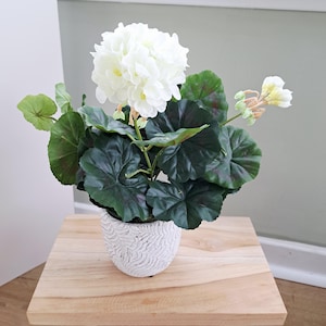 White Geranium plant in a ceramic pot - faux plant decor