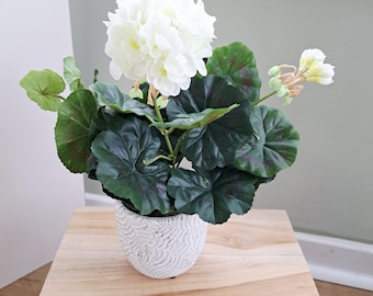 White Geranium plant in a ceramic pot - faux plant decor