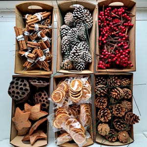 Könnte beinhalten: Sechs rechteckige Pappschalen gefüllt mit Bastelmaterial: Zimtstangen mit weißem Garn, weiß beschneite Kiefernzapfen, rote Beeren an Drahtstielen, Lotus-Samenkapseln, Holzsterne, getrocknete Orangenscheiben und natürliche Kiefernzapfen.