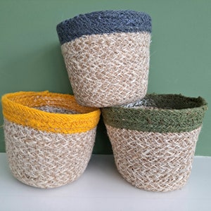 Basket plant pot in natural with green, blue or yellow trim