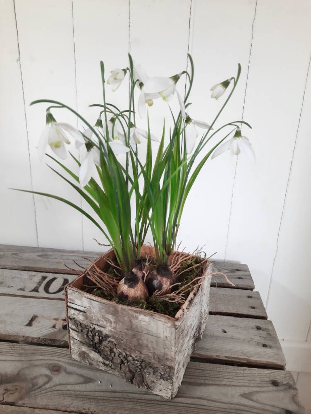 Faux Snowdrops in Bark Planter Large or Small Etsy