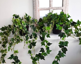 Faux  trailing ivy potted plant