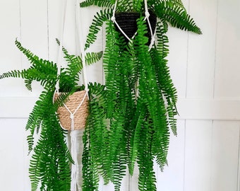 Trailing fern plant in a hanging basket artificial plant