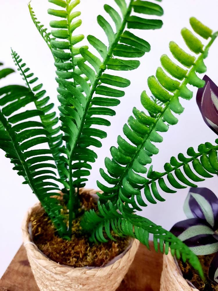 Assorted Faux House Plants in Baskets Trio or Single Etsy