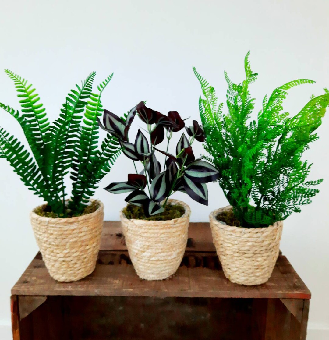 Assorted Faux House Plants in Baskets Trio or Single Etsy