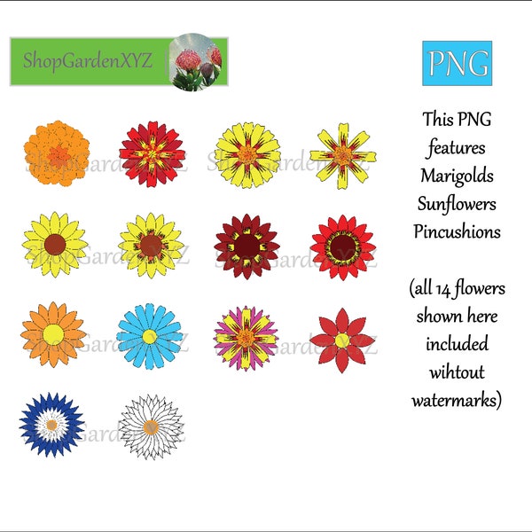 Flowers Garden Collection - Marigolds, Sunflowers, Pincushions Clip Art Set - Instant Download, Personal Use, Commercial Use, PNG