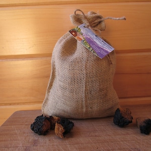 Chaga Mushroom Chunks 1lb - Wild-foraged Naturally Dried Maine Chaga, Ready to brew into tea, 100% wild and natural
