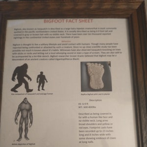 Bigfoot factsheet