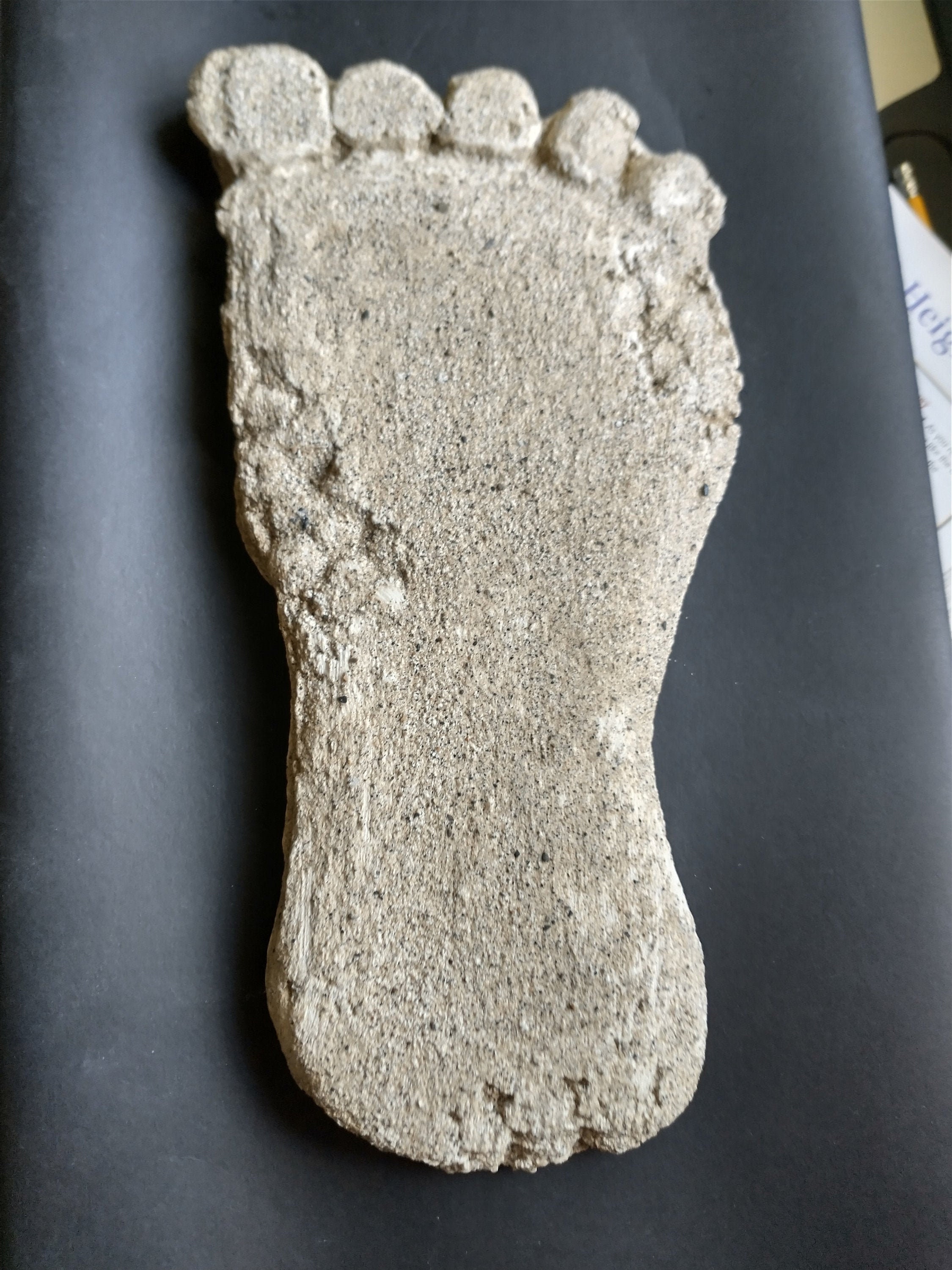 Bigfoot Footprint Cast Replica Etsy
