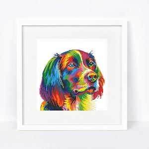 Puede incluir: Una ilustración colorida de la cabeza de un perro. El pelaje del perro está pintado en tonos de rojo, naranja, amarillo, verde, azul y morado. El perro tiene ojos marrones y la nariz negra.