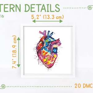 Colorful heart cross stitch pattern Rainbow human anatomy cross stitch Medical cross stitch, Instant download PDF 2195 image 4