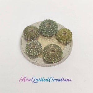 Tiny green sea urchin shells sold in sets of four, diameter 8mm-12mm, Mediterranean sea urchin shells, real rare urchin shells