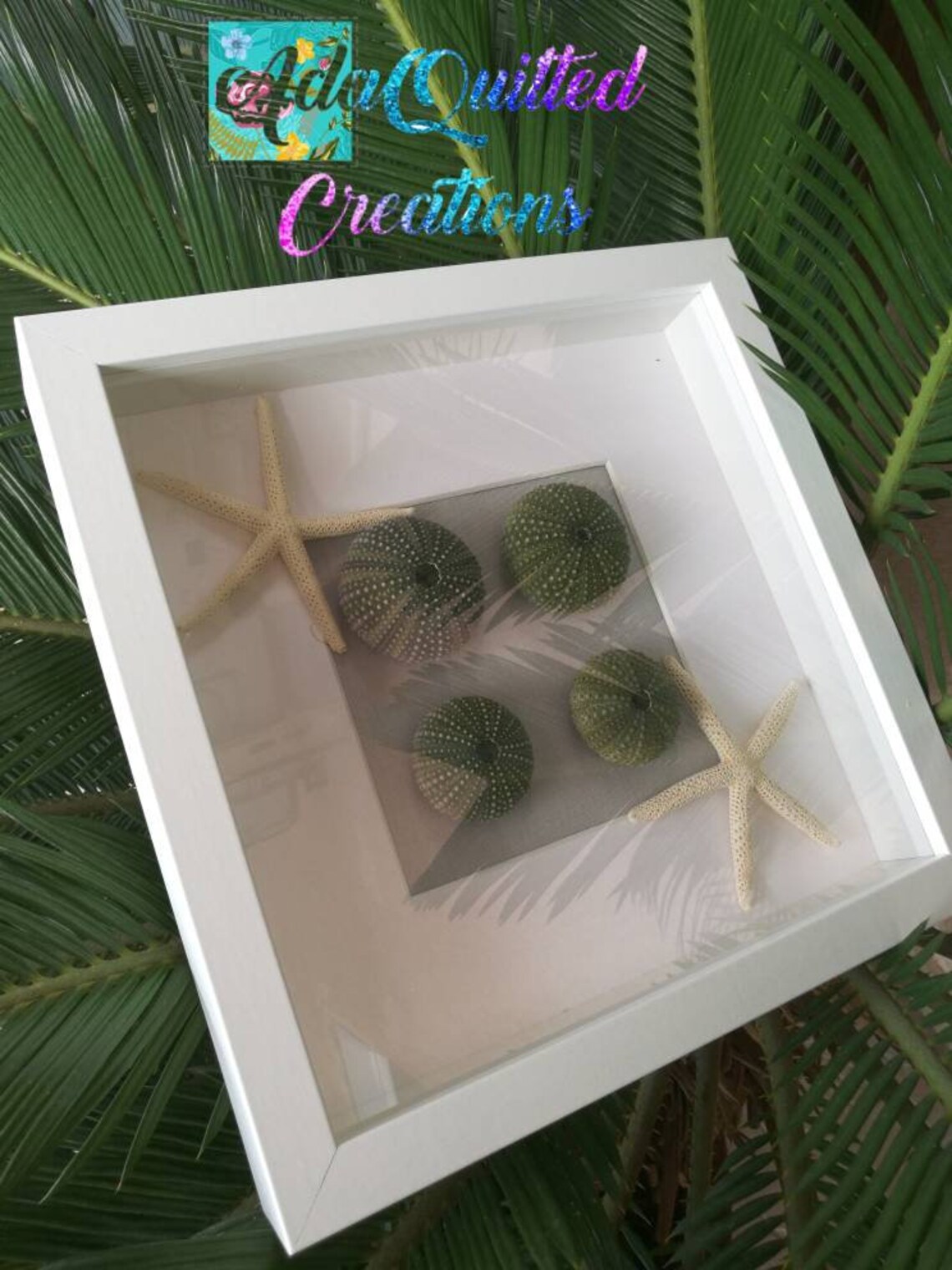 Starfish & Sea Urchins Wall Decor Urchin Shell Wall Art Etsy