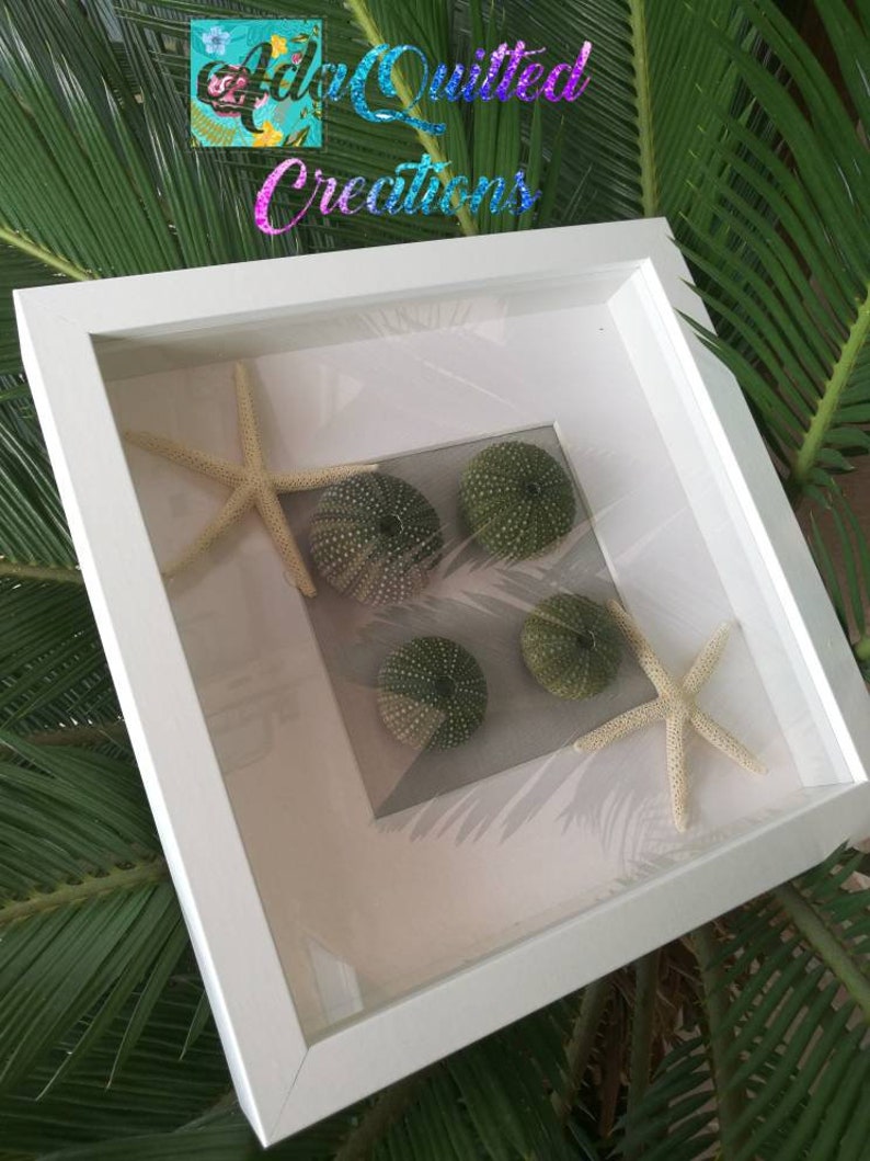 Starfish & Sea Urchins Wall Decor Urchin Shell Wall Art Etsy
