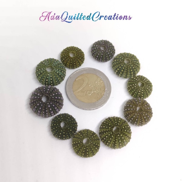 Small urchin shells sold in sets of five, small (1.50 - 2 cm) green sea urchin shells, Mediterranean sea urchin shells, real urchin shells