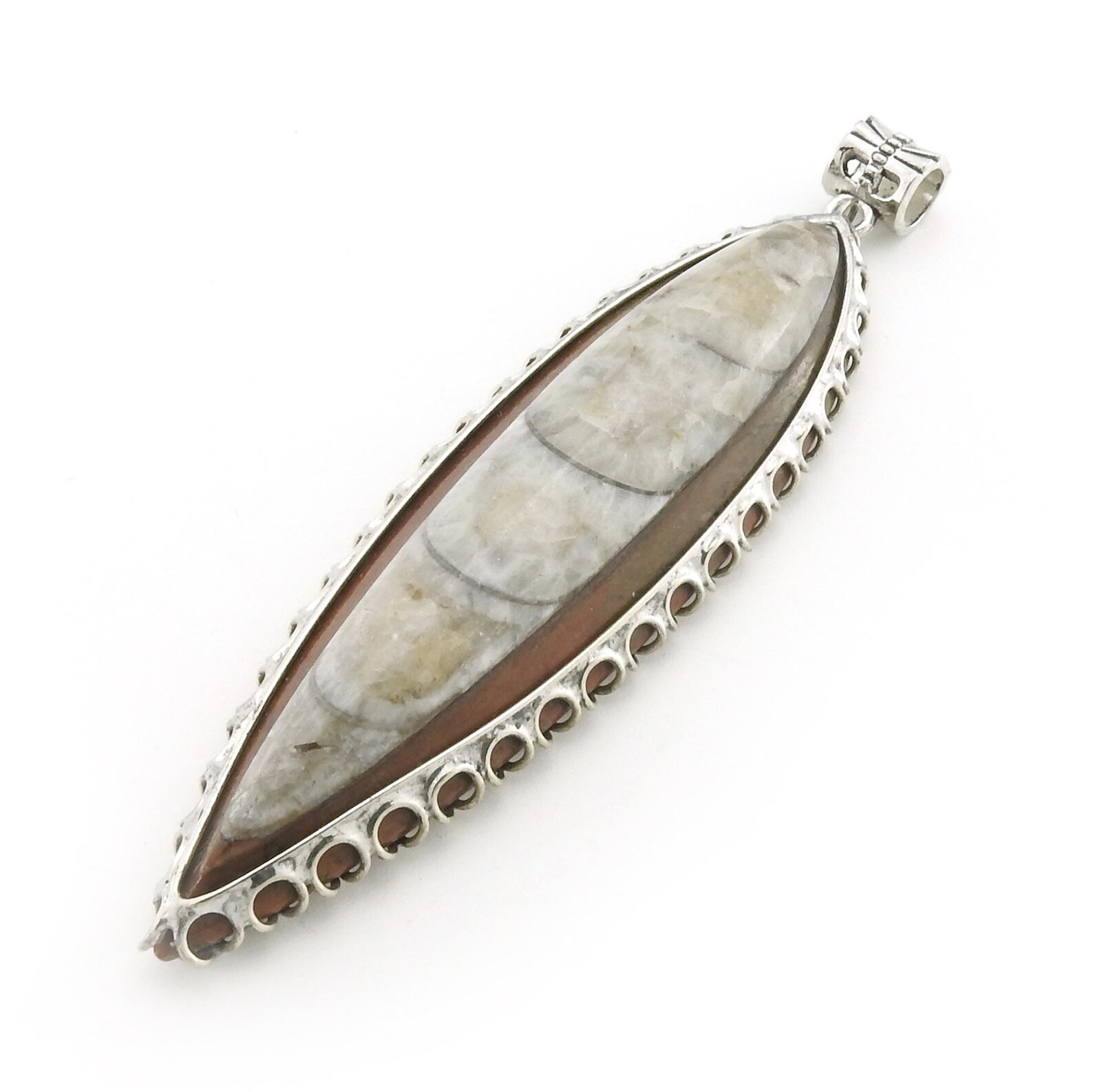 Orthoceras Fossil Pendant Black and White Stone Decorative Etsy