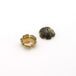 May include: Two shell flower buttons with a hole in the center. The button on the left is a light brown color with a darker brown border. The button on the right is a dark brown color with a lighter brown border.