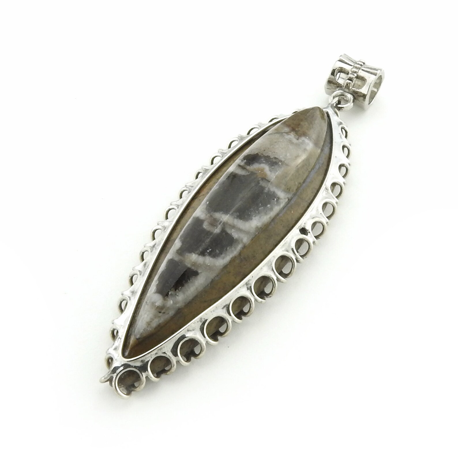 Orthoceras Fossil Pendant Black and White Stone Decorative Etsy