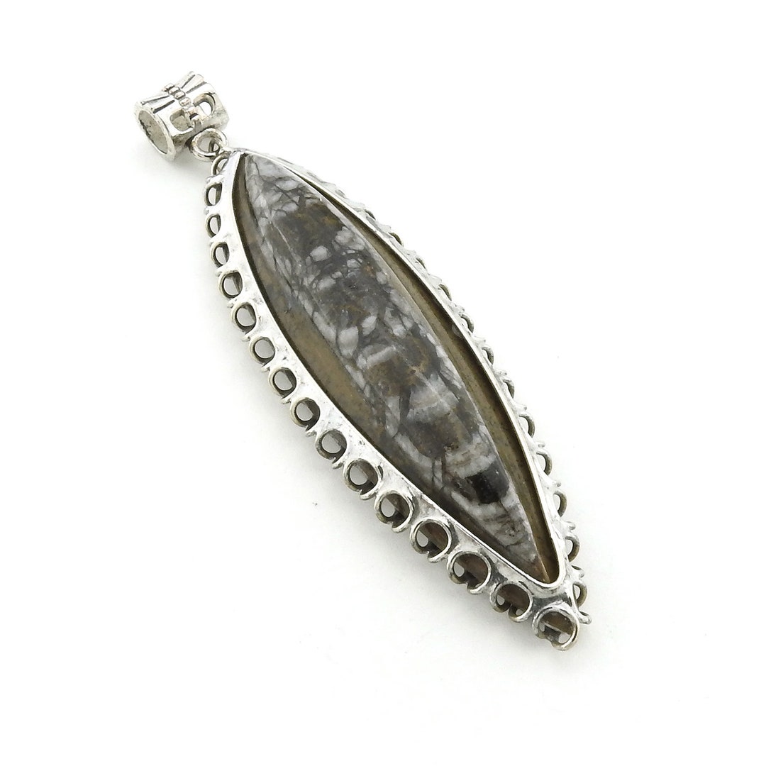 Orthoceras Fossil Pendant Black and White Stone Decorative Etsy