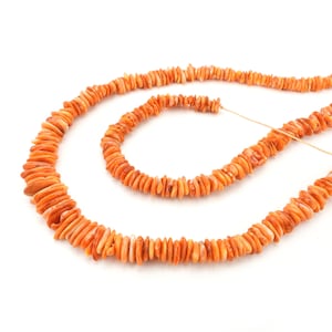 Orange spiny oyster heishi chip beads, 16&quot; strand, graduated semiprecious shell, 3mm to 11mm, Irina Miech